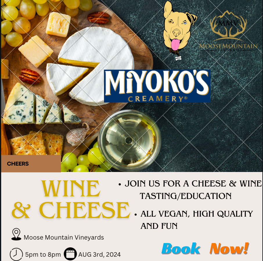 Miyoko Cheese & MMV Wine!